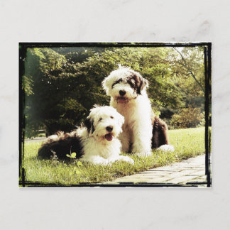 Postal ¡Great Outdoors!