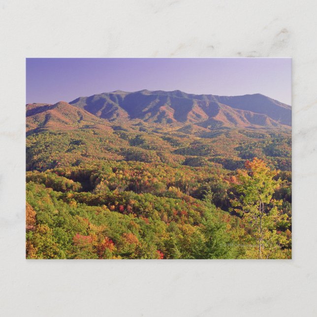 Postal Great Smoky Mountains NP, Tennessee, Estados Unido (Anverso)