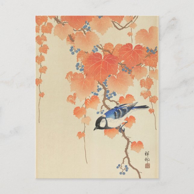 Postal Great Tit on Paulownia Branch por Ohara Koson (Anverso)