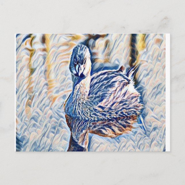 Postal Grebe (Anverso)