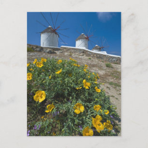 Postal Grecia, Islas Cícladas, Mykonos, flores cercanas
