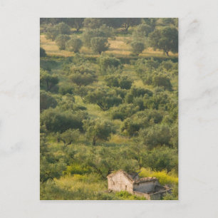 Postal GRECIA, Islas Jónicas, KEFALONIA, Havriata: