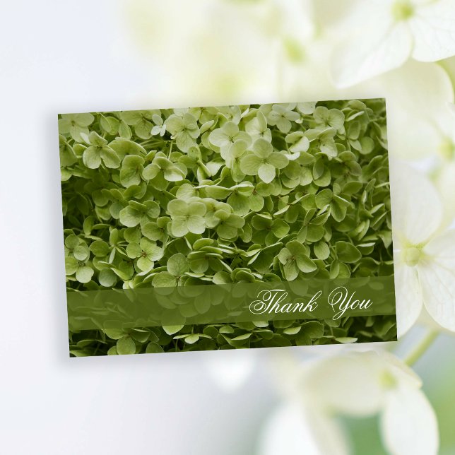 Postal Green Annabelle Hydrangea Floral Gracias (Subido por el creador)