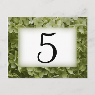 Postal Green Annabelle Hydrangea Flower Table Numbers