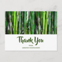 Green Bamboo Stalks Nature Photography