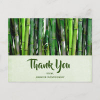 Green Bamboo Stalks Nature Photography