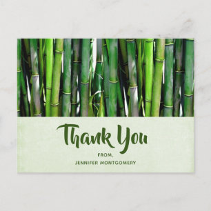 Postal Green Bamboo Stalks Nature Photography