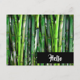 Postal Green Bamboo Stalks Nature Photography - Hello