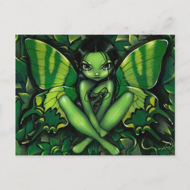 Postal "Green Butterfly Fantasy" (Anverso)