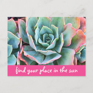 Postal Green Cacti Photo Encuentra Tu Lugar En Sun Script