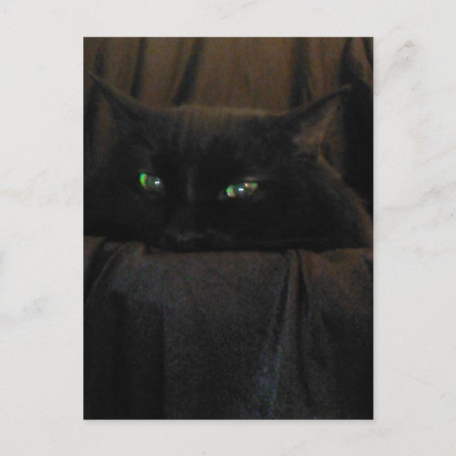 Postal Green Cat Oyes (Anverso)