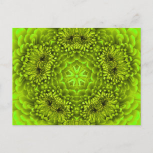 POSTAL GREEN DAHLIA FLOWER