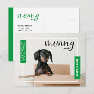 Postal Green Estamos mudando al perro de Dachshund en la 
