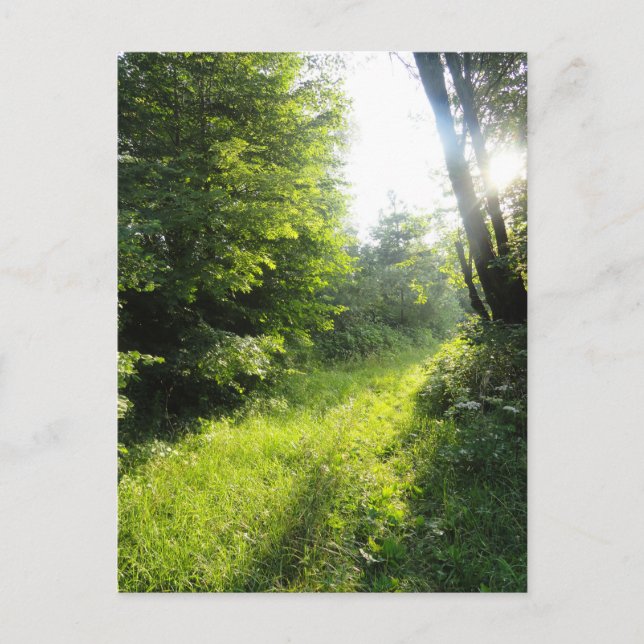 Postal Green Forest Meadow (Anverso)