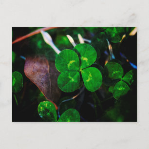 Postal Green Four Leaf Clover Lucky