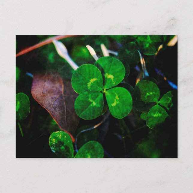 Postal Green Four Leaf Clover Lucky (Anverso)