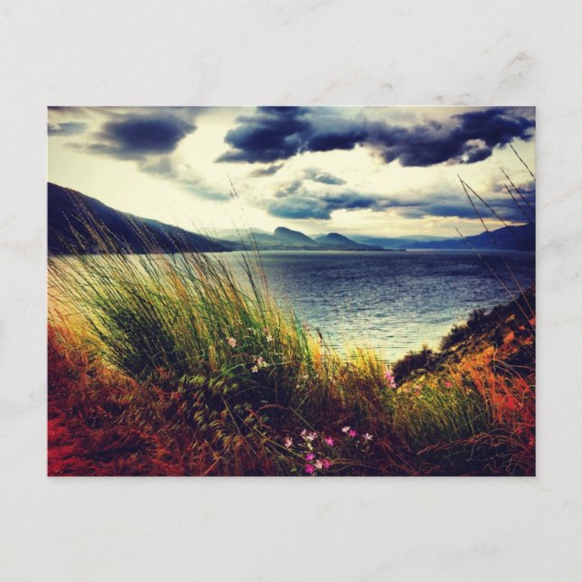 Postal Green Grass Lake Dark Nubes Oscuras (Anverso)