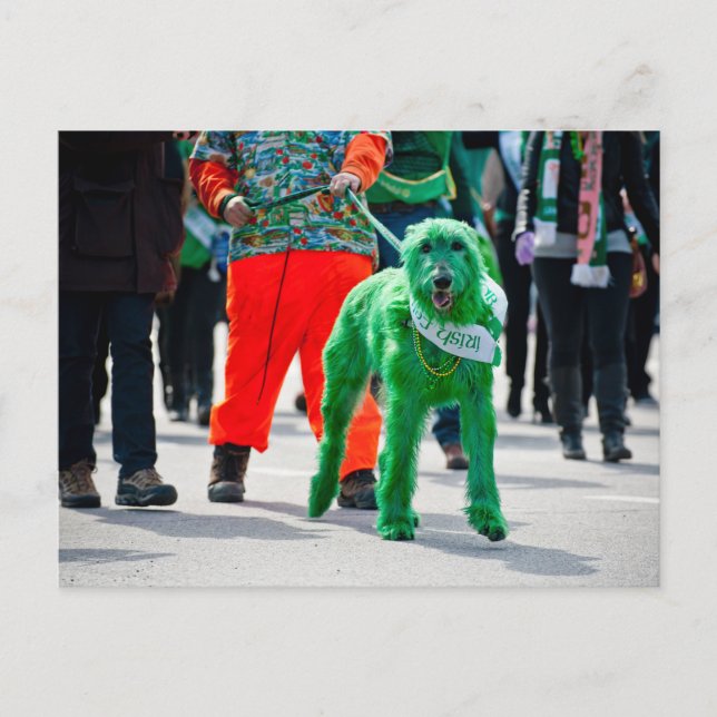 Postal Green Irish Wolfhound Dog St. Patrick's Day Parade (Anverso)