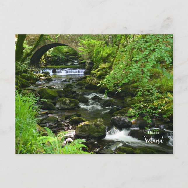 Postal Green irlandés-Irlanda (Anverso)