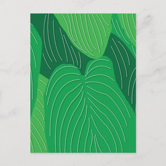 Postal Green Leaves Botanical (Anverso)