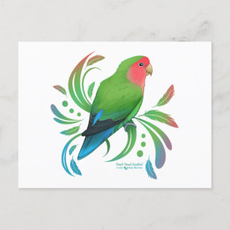 Postal Green Peach Facer Lovebird