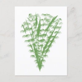 Postal Green plant in the shape of a bouquet.