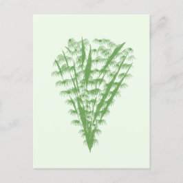 Postal Green plant in the shape of a bouquet.