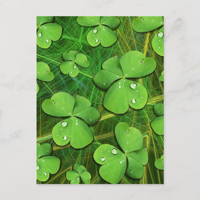 Postal Green Shamrock St Patrick's iPhone 5 Funda-Mate (Anverso)