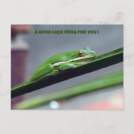 Postal Green Treefrog Good Lucky Postcard