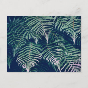 Postal Green Tropical Fern Lees Natural Pattern