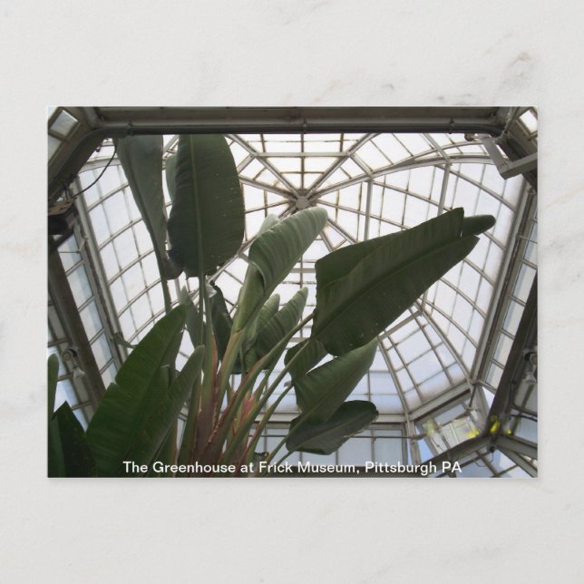 Postal Greenhouse en el Museo Frick, Pittsburgh PA (Anverso)