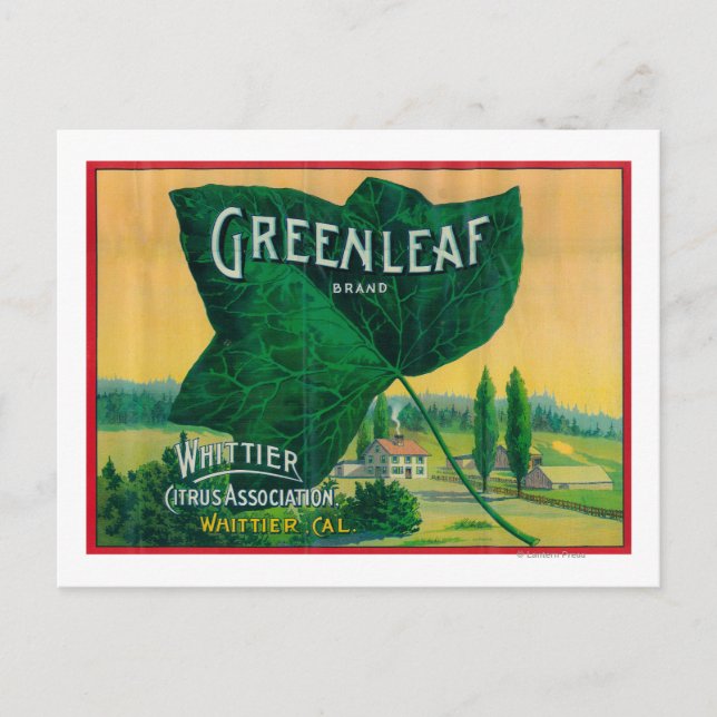 Postal Greenleaf Lemon LabelWhittier, CA (Anverso)
