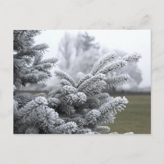 POSTAL GREETINAS DE INVIERNO