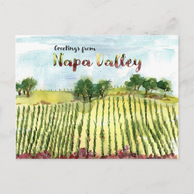 Postal Greetings From Napa Valley Vineyard Hills (Anverso)