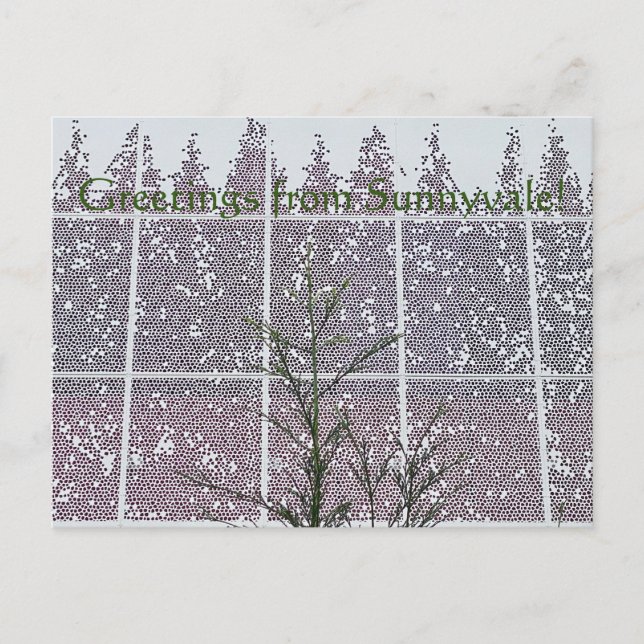 Postal Greetings from Sunnyvale! (Anverso)