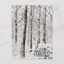Postal Greetings from the Poconos! Snowy Pocono Woodlands