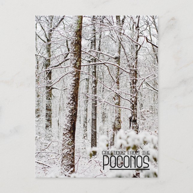 Postal Greetings from the Poconos! Snowy Pocono Woodlands (Anverso)