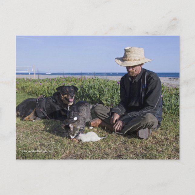 Postal Greg Pike con Booger, Kitty y Mousey (Anverso)
