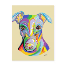 GREYHOUND