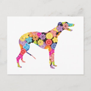Postal Greyhound