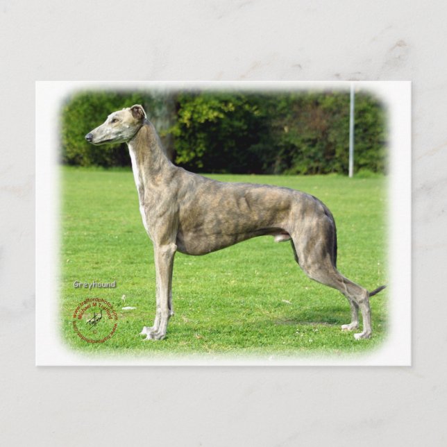 Postal Greyhound 9J007D-14 (Anverso)