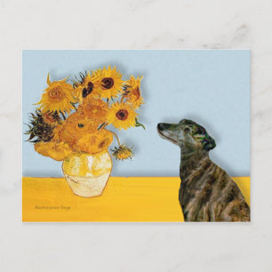 Postal Greyhound (br2) - Girasoles