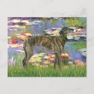 Postal Greyhound (br8) - Lilies 2