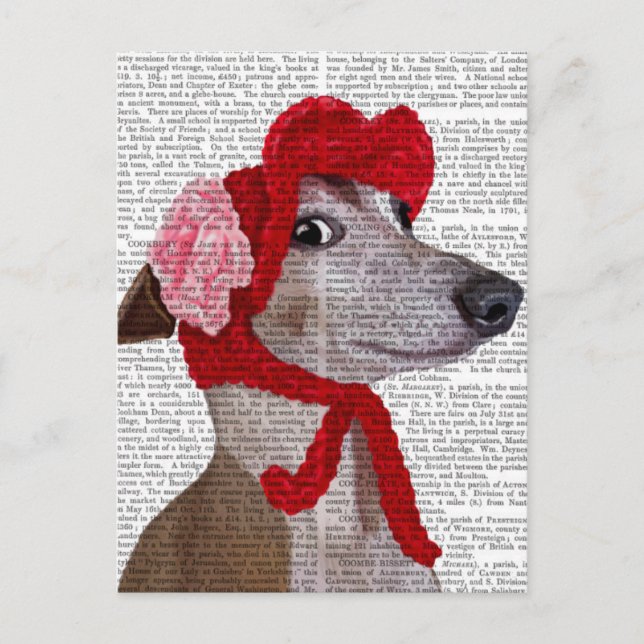 Postal Greyhound con el Gorra Red Wooly 2 (Anverso)