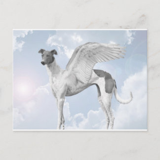 Postal Greyhound de Ángel Blanco