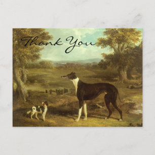 Postal Greyhound de Herring y Spaniel; Médico Fop