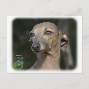 Postal Greyhound italiano 9K74D-11