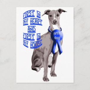 Postal Greyhound italiano del primer perro