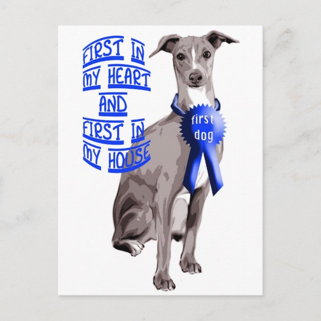 Postal Greyhound italiano del primer perro (Anverso)