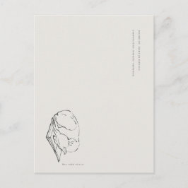 Postal Greyhound- Naturalist Menagerie Archive